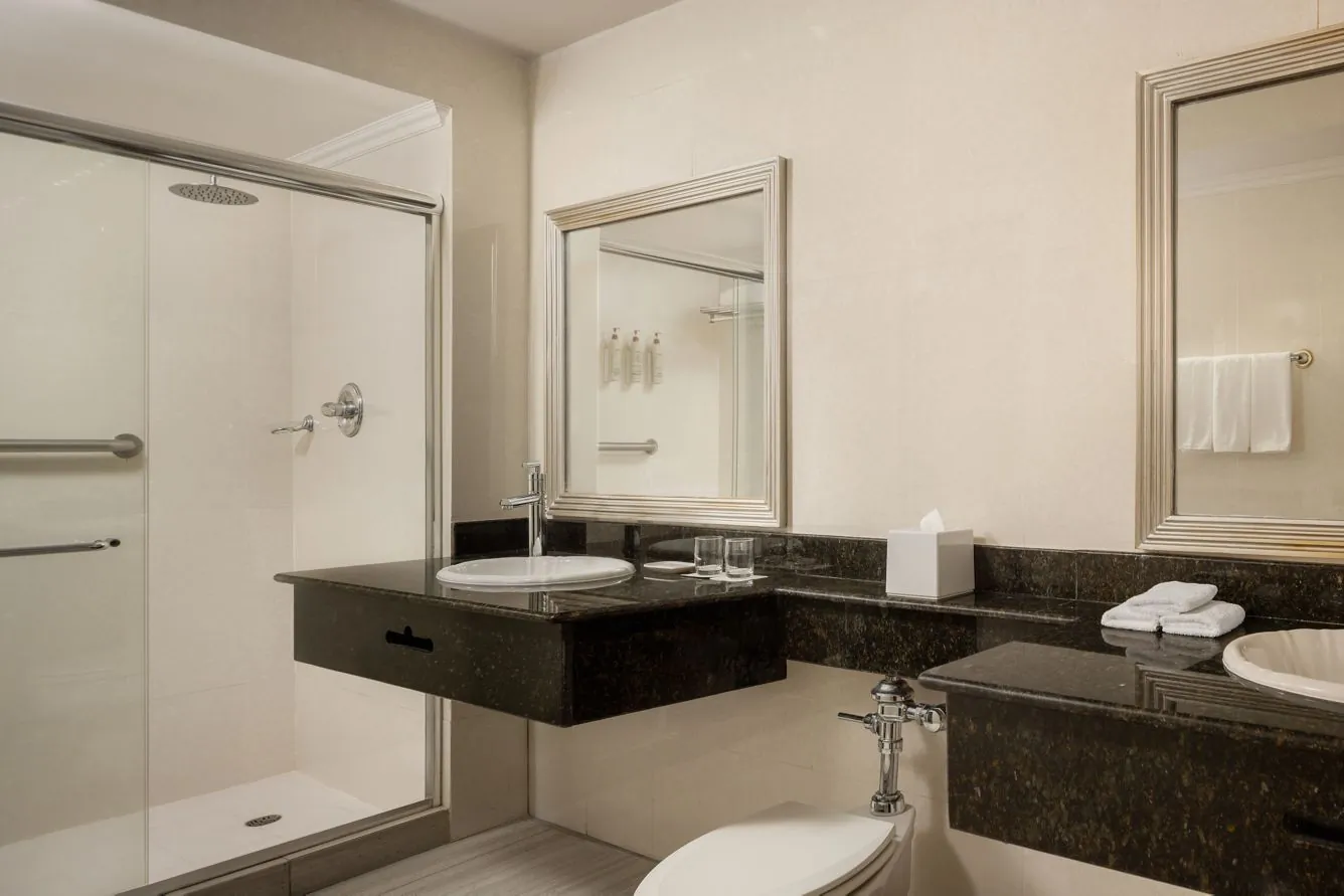 Deluxe Bathroom