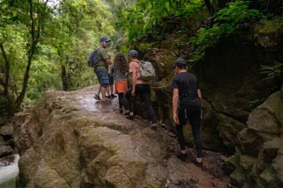 Guests walking through a rainforest trail